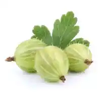 egreš01
