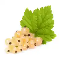 ríbezľa1